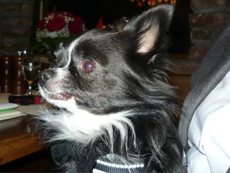 Condolence image of Marion 