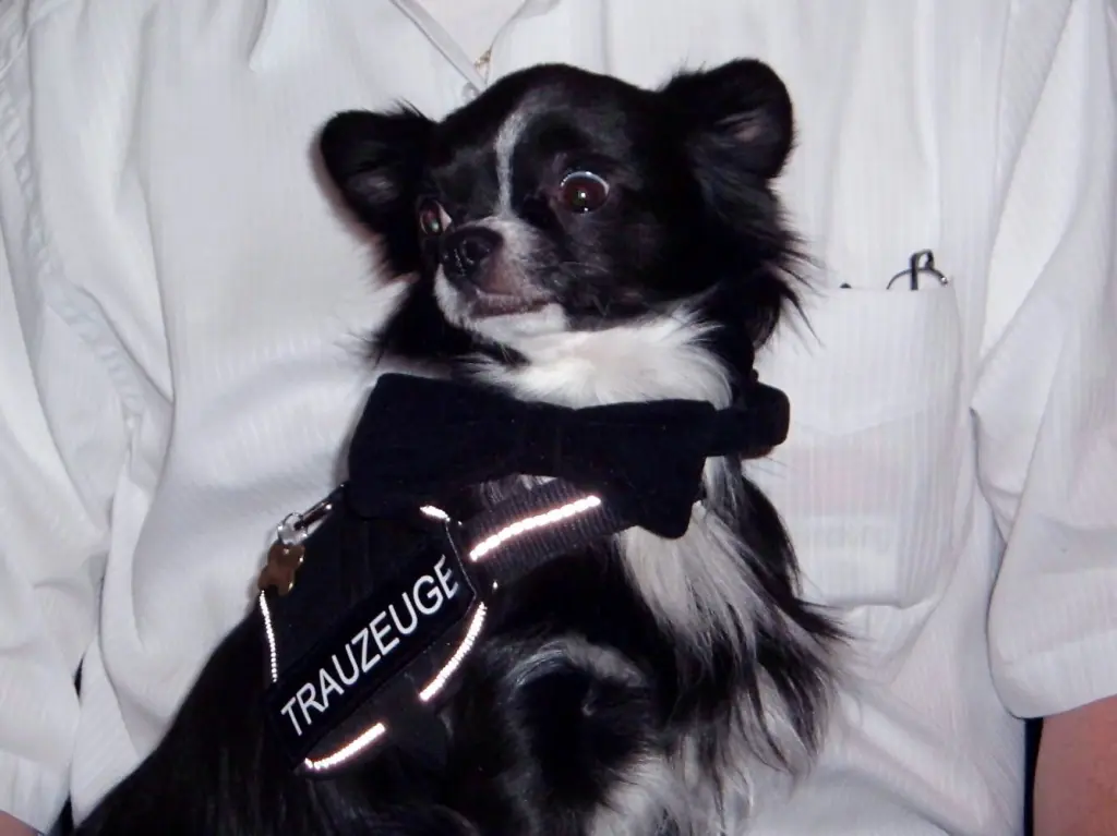 Condolence image of Marion 