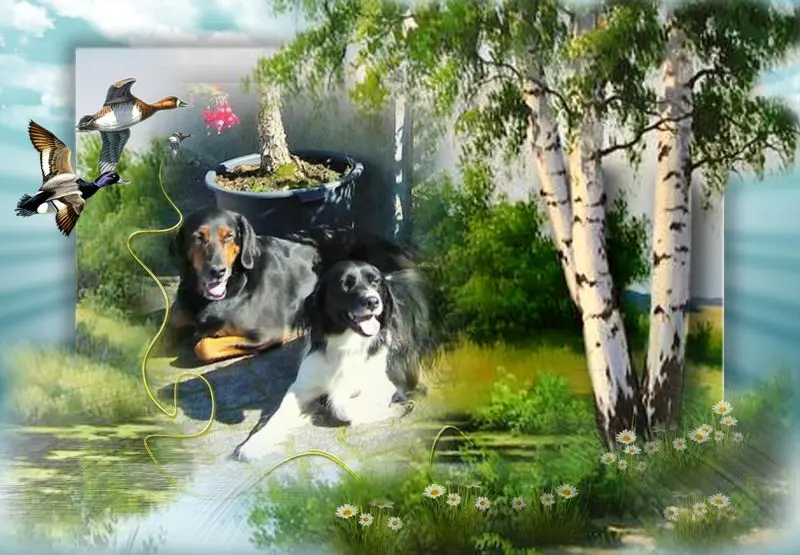 Andachtsbild von Brigitte mit Nelly, Benny und Axel im Herzen