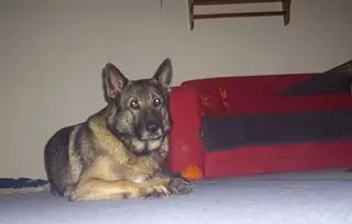 Andachtsbild von marietta mit paplo