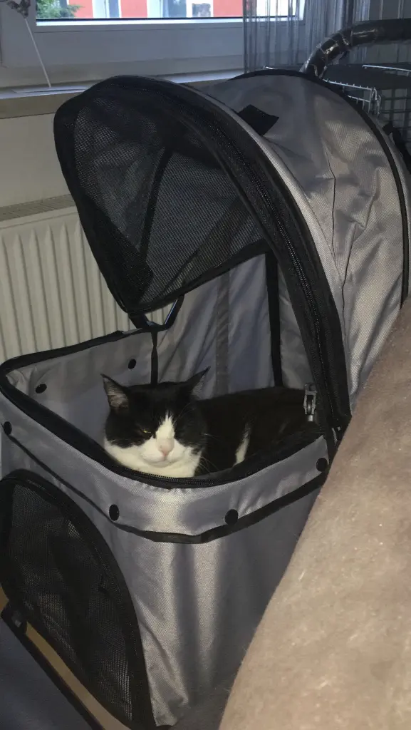 Andachtsbild von Damaris