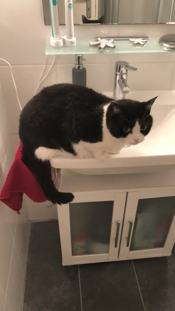 Andachtsbild von Damaris