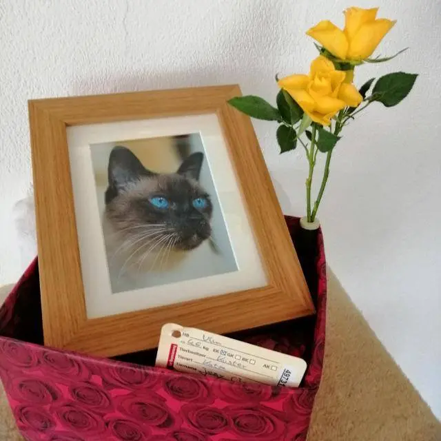 Condolence image of Ronny