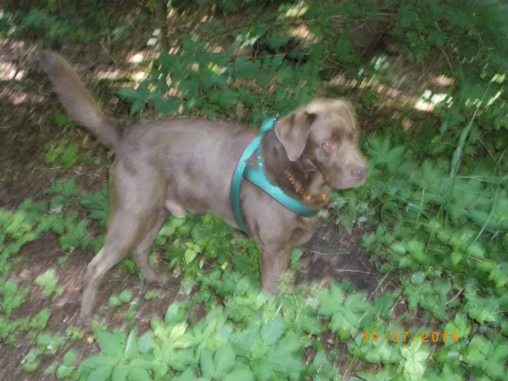 Condolence image of sabine
