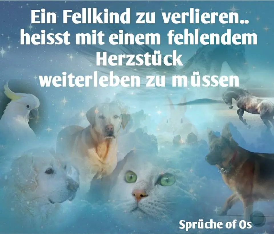 Condolence image of Michaela mit Nicko und Ariane ganz tief im ❤
