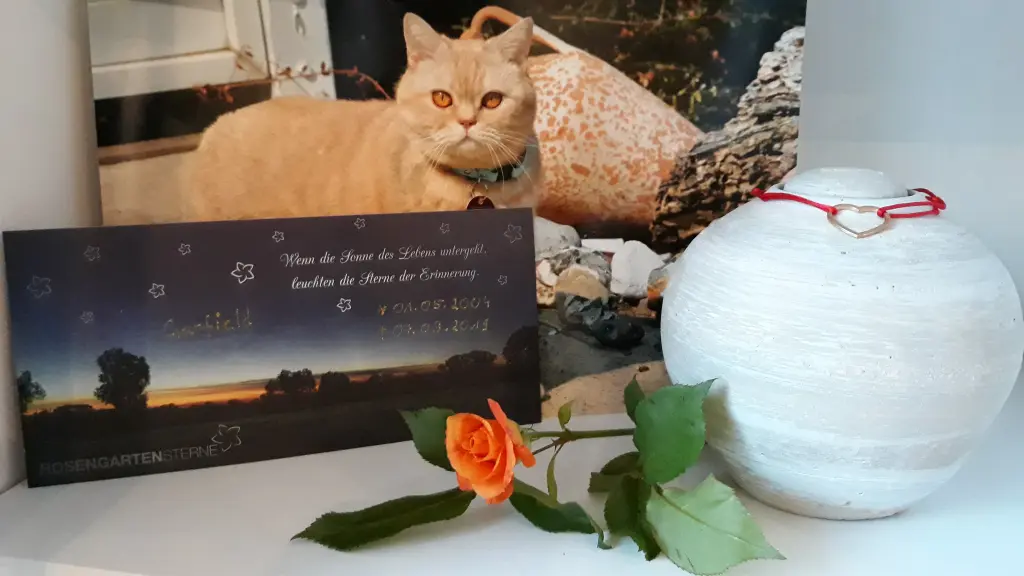 Image from Garfield