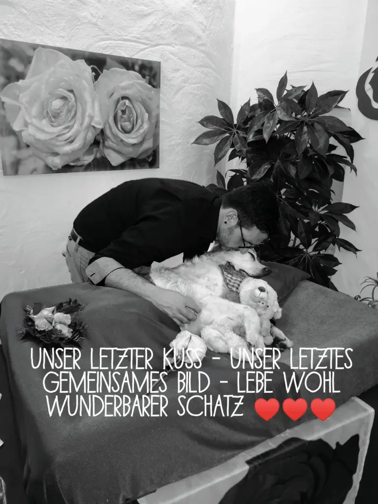 Condolence image of Stefan mit Luke im Herzen und Tränen in den Augen <3
