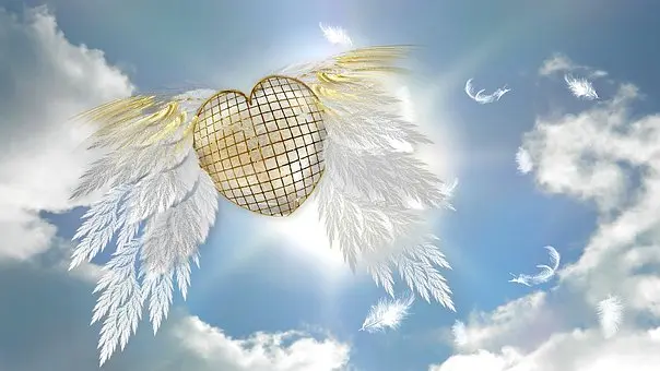 Condolence image of Anja mit Joy im Herzen ❤