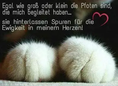 Andachtsbild von Eike und Edeltraud mit Mulle Miezi und Jonny tief im Herzen 