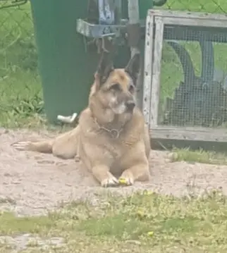 Andachtsbild von Claudia mit Tara im Herzen