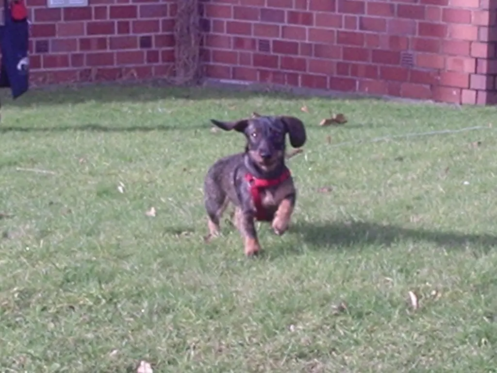 Andachtsbild von tjaa... dein papa Dosedzal