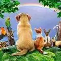 Andachtsbild von Gisela