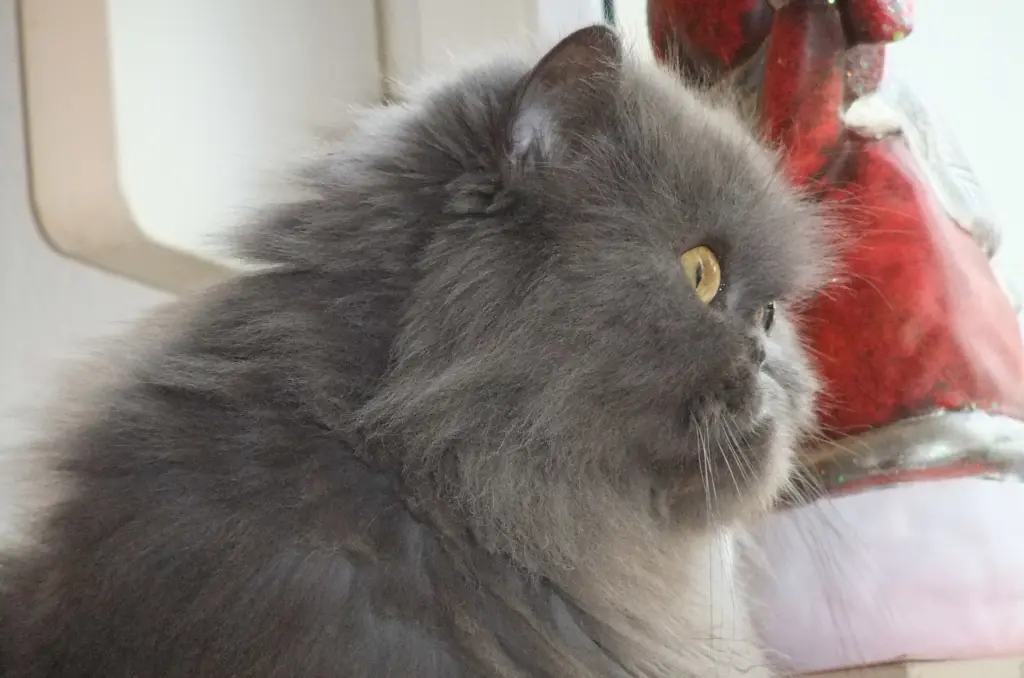 Andachtsbild von Marie mit Merlin im Herzen
