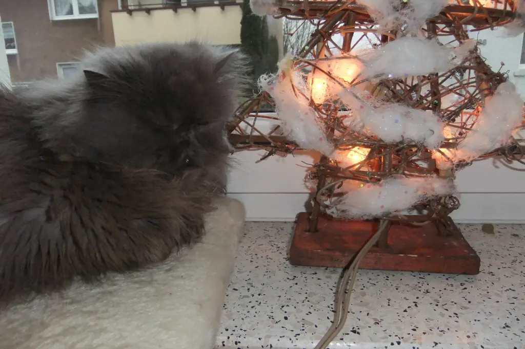 Andachtsbild von Marie mit Merlin im Herzen