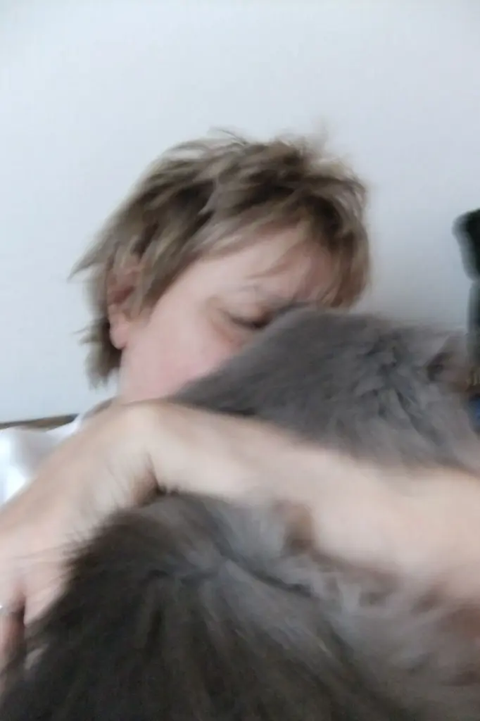 Andachtsbild von Marie mit Merlin im Herzen