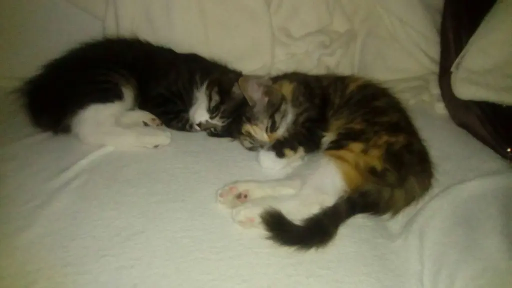 Condolence image of Rosemarie mit Minnie