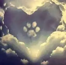 Condolence image of Jacqueline