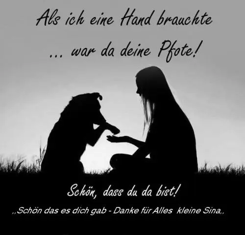 Image from S I N A - meine Sternenkind