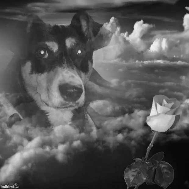 Condolence image of Unbekannt