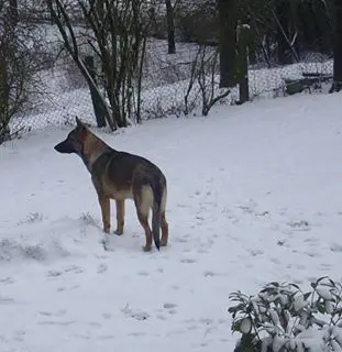 Andachtsbild von marietta  mit paplo