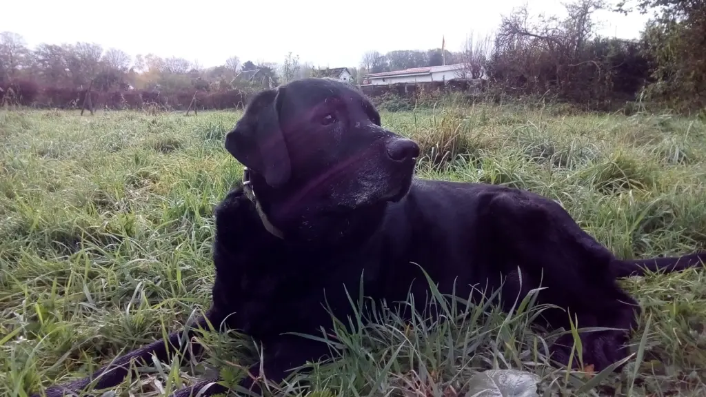 Andachtsbild von Unbekannt