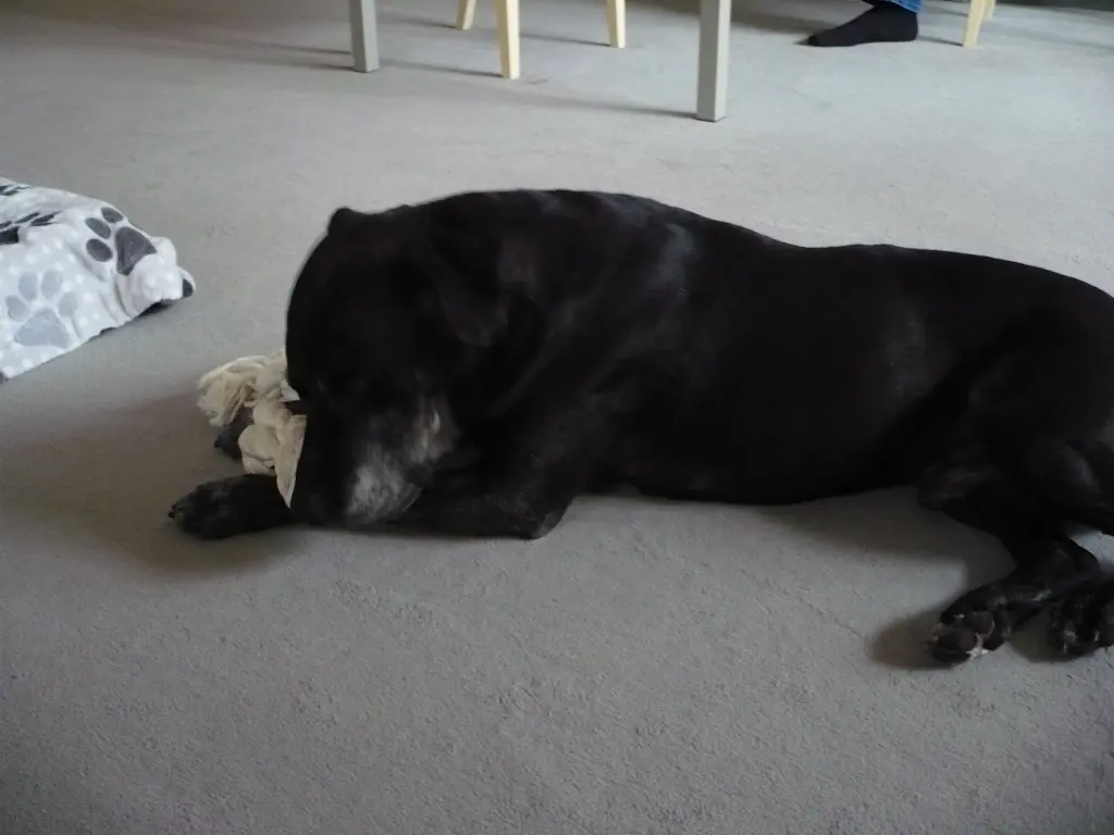 Andachtsbild von Unbekannt