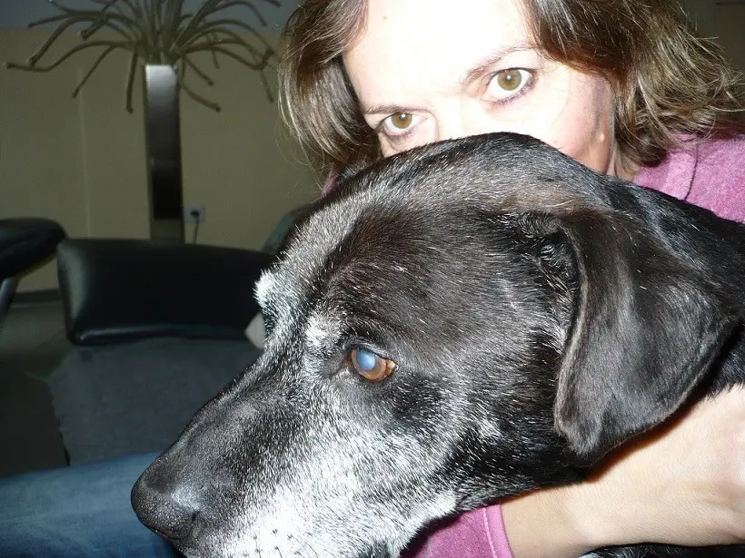 Andachtsbild von Unbekannt