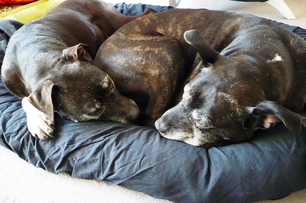 Andachtsbild von Unbekannt