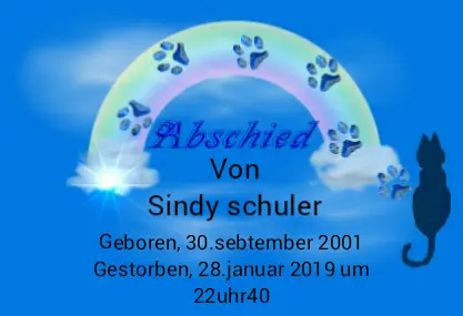 Image from Sindy