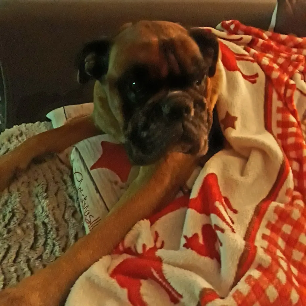 Andachtsbild von Simona mit Easy im Herzen