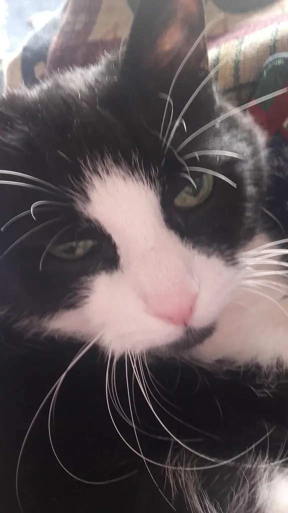 Andachtsbild von Ute