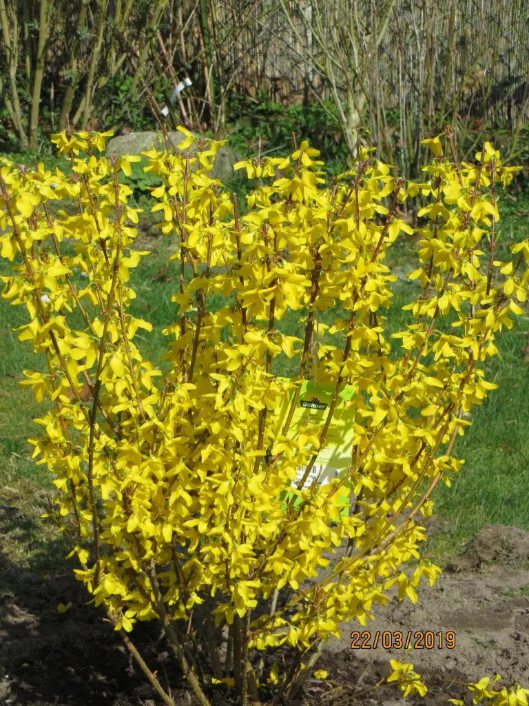 Andachtsbild von Uschi