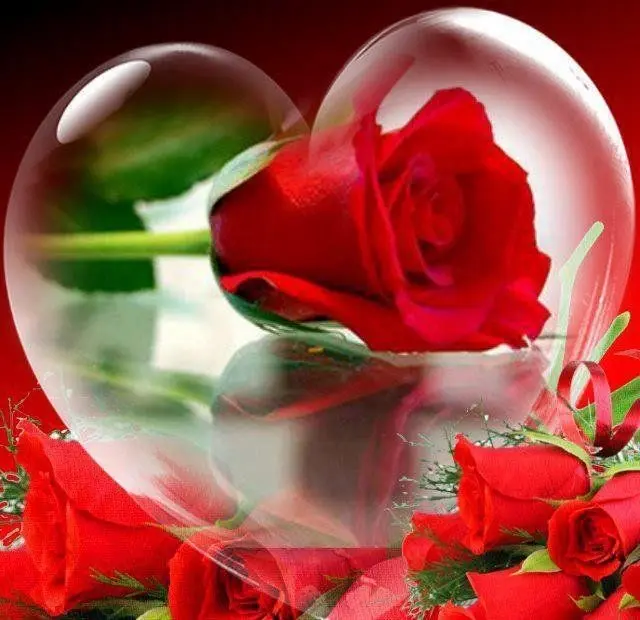 Condolence image of ❤️❤️❤️❤️