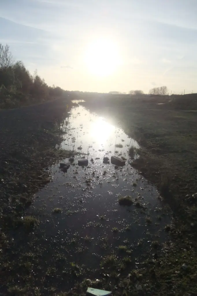Condolence image of Marie mit Merlin im Herzen