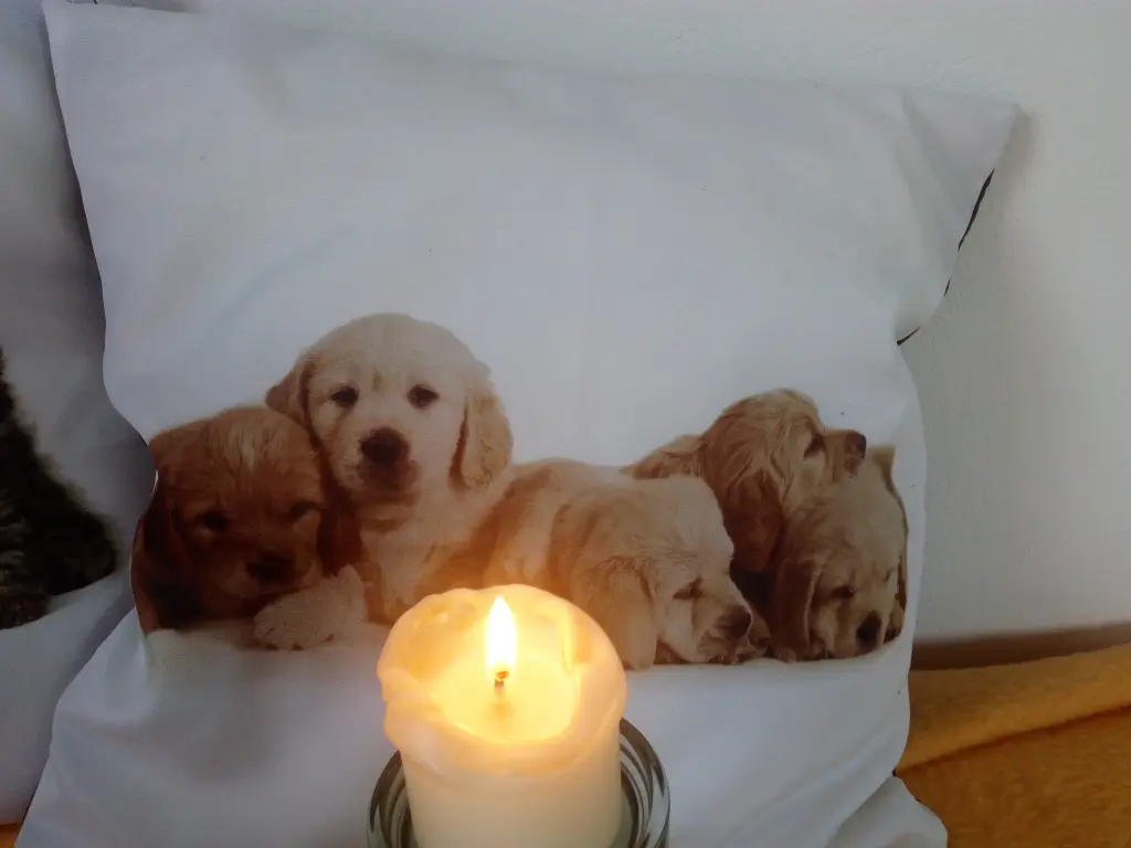 Condolence image of Marika mit Balou und Hippo im Herzen