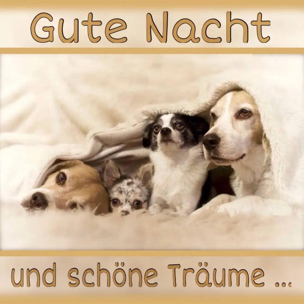 Condolence image of Jutta mit Purzel tief im Herzen ✟ 08.05.2016