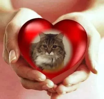 Andachtsbild von Liebe Jule❤️