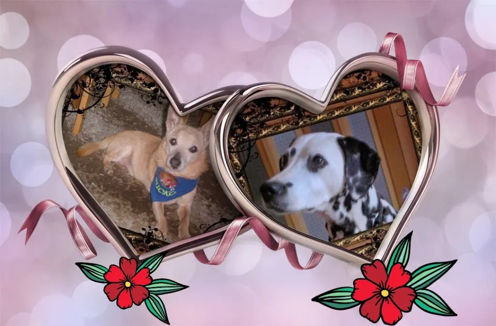 Andachtsbild von Michaela mit Nicko und Ariane ganz tief im ❤