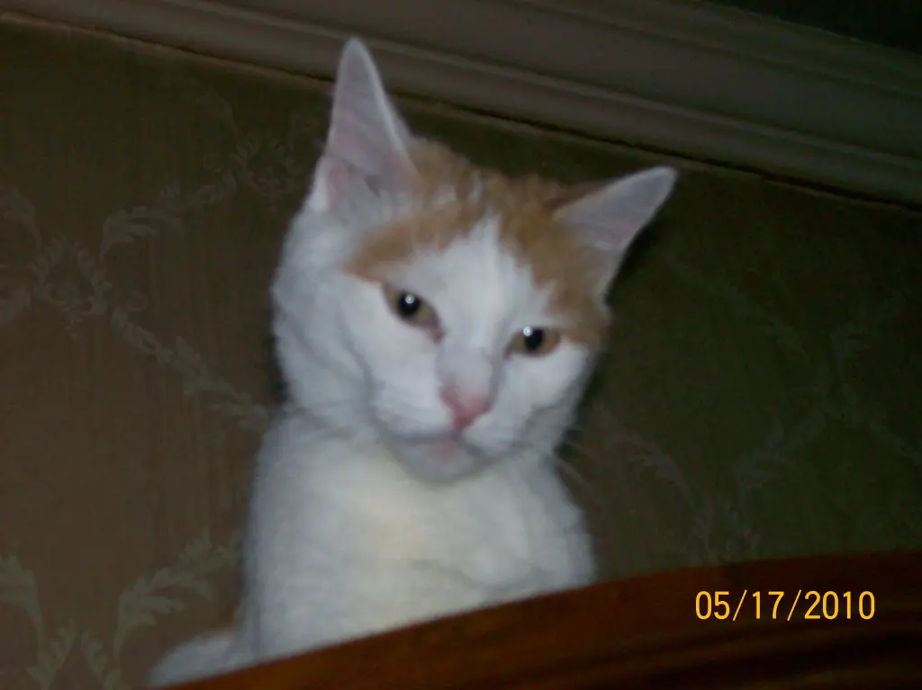 Andachtsbild von Uwe mit Sammy