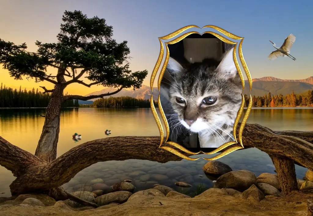 Andachtsbild von ❤️❤️❤️