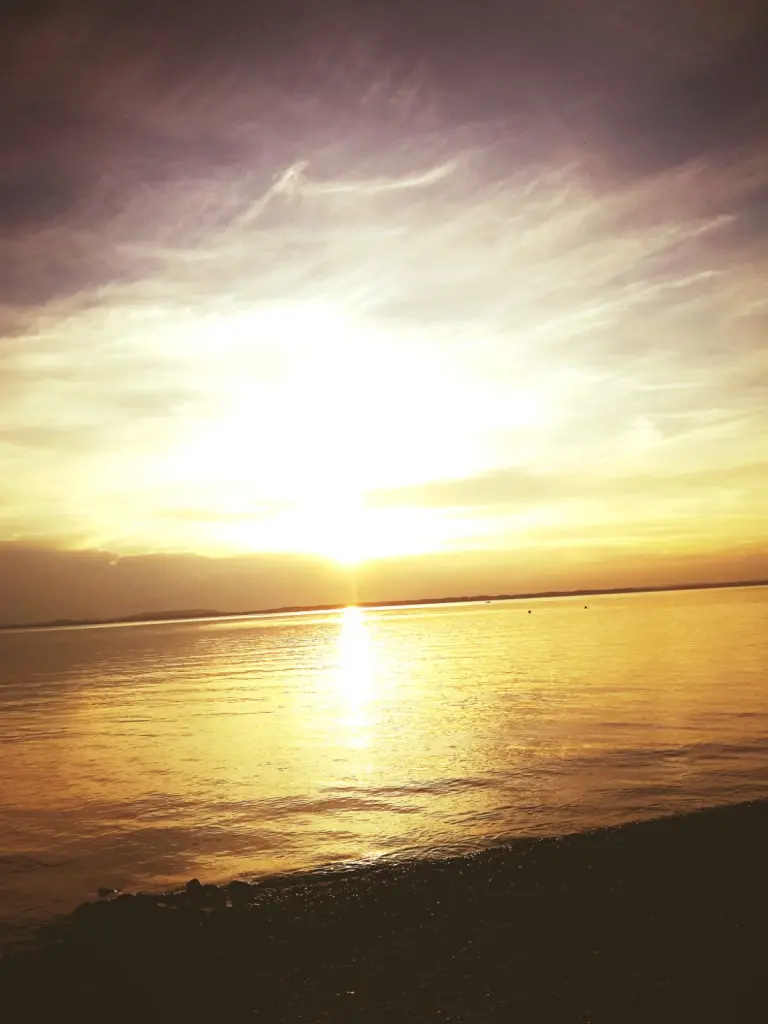 Andachtsbild von Eike und Edeltraud mit Mulle Miezi und Jonny tief im Herzen 