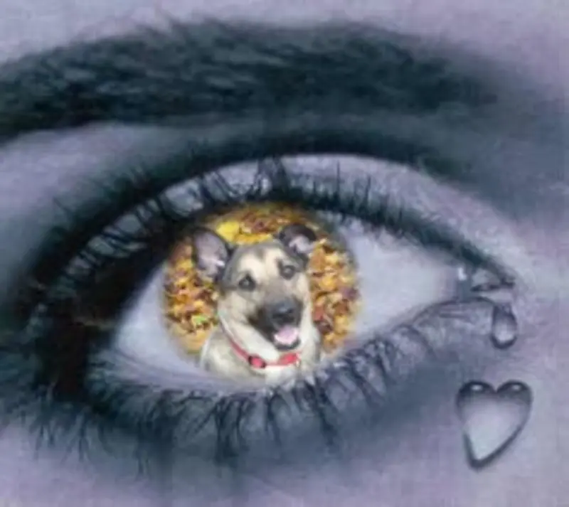 Andachtsbild von Wochenendrose