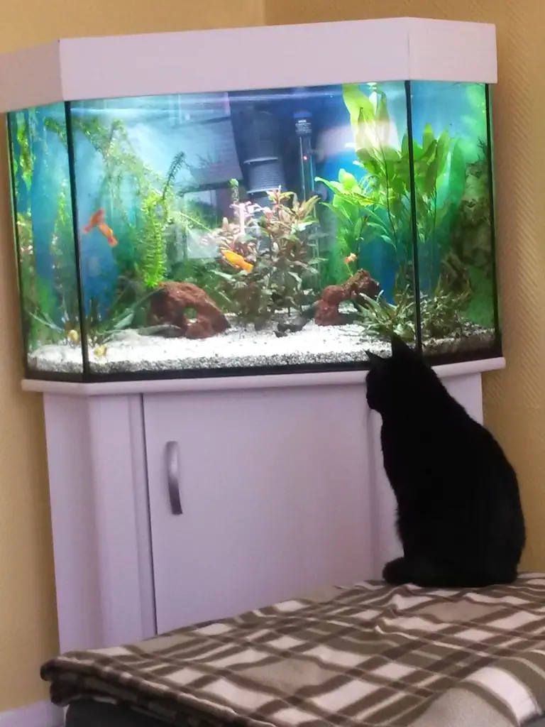 Andachtsbild von Anja mit Joy im Herzen ❤