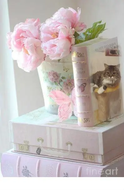 Andachtsbild von ❤️❤️❤️