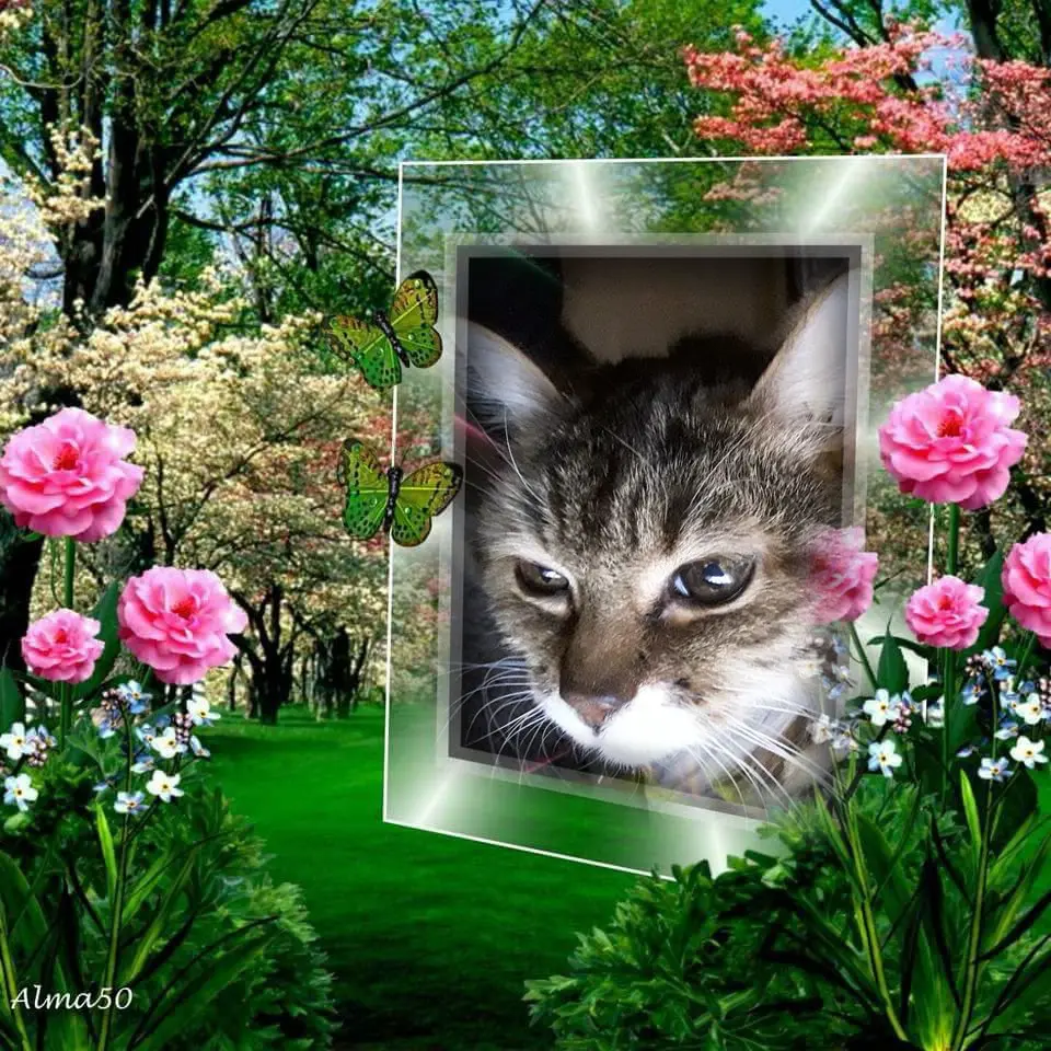 Andachtsbild von ❤️❤️❤️