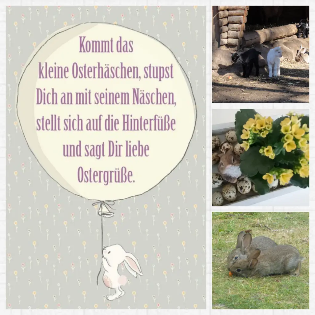 Andachtsbild von Anja mit Joy im Herzen ❤