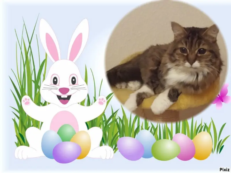 Andachtsbild von ❤️❤️❤️