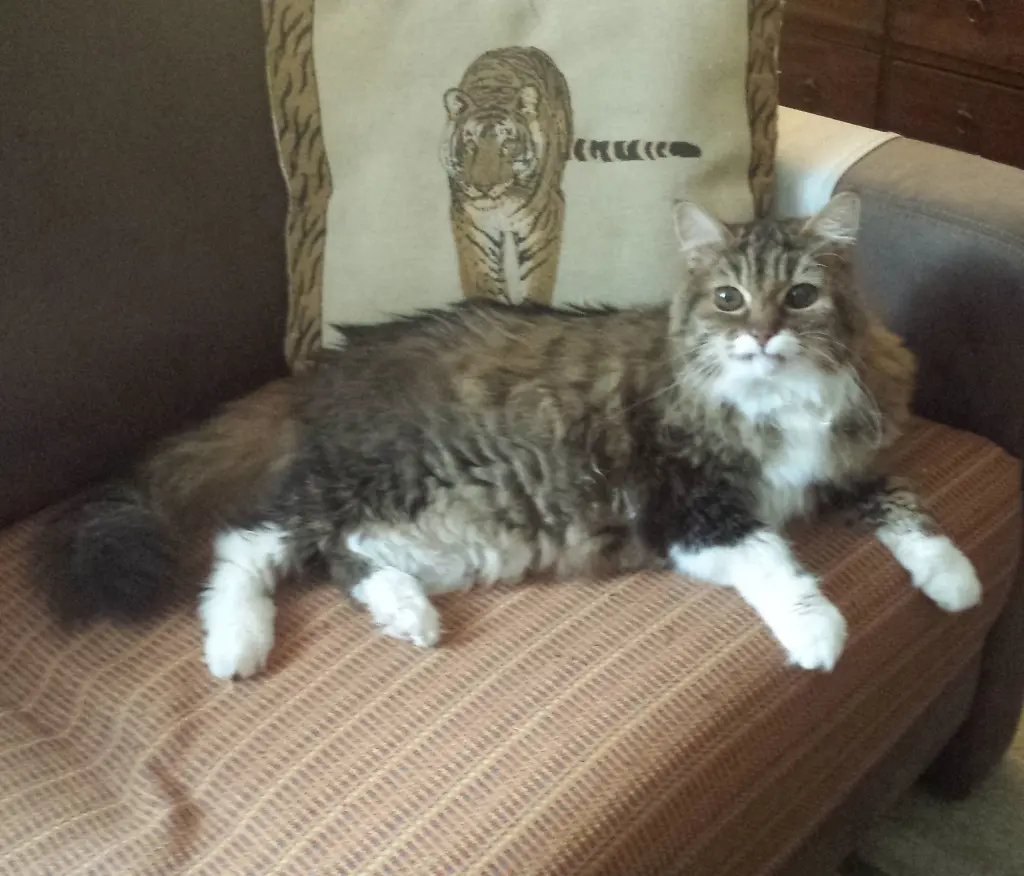 Andachtsbild von deiner Ilse in Liebe, ein Monat ohne dich