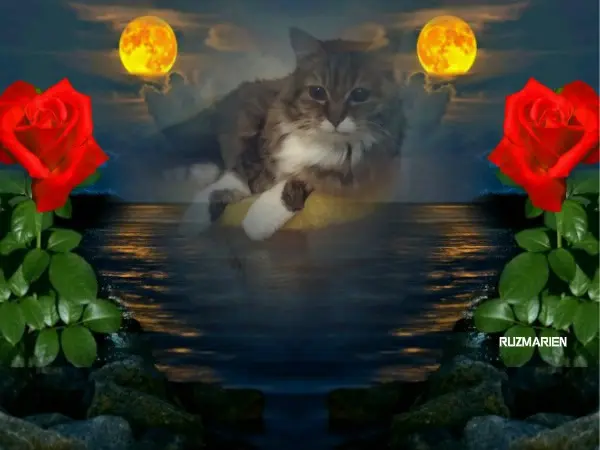 Andachtsbild von ❤️❤️❤️