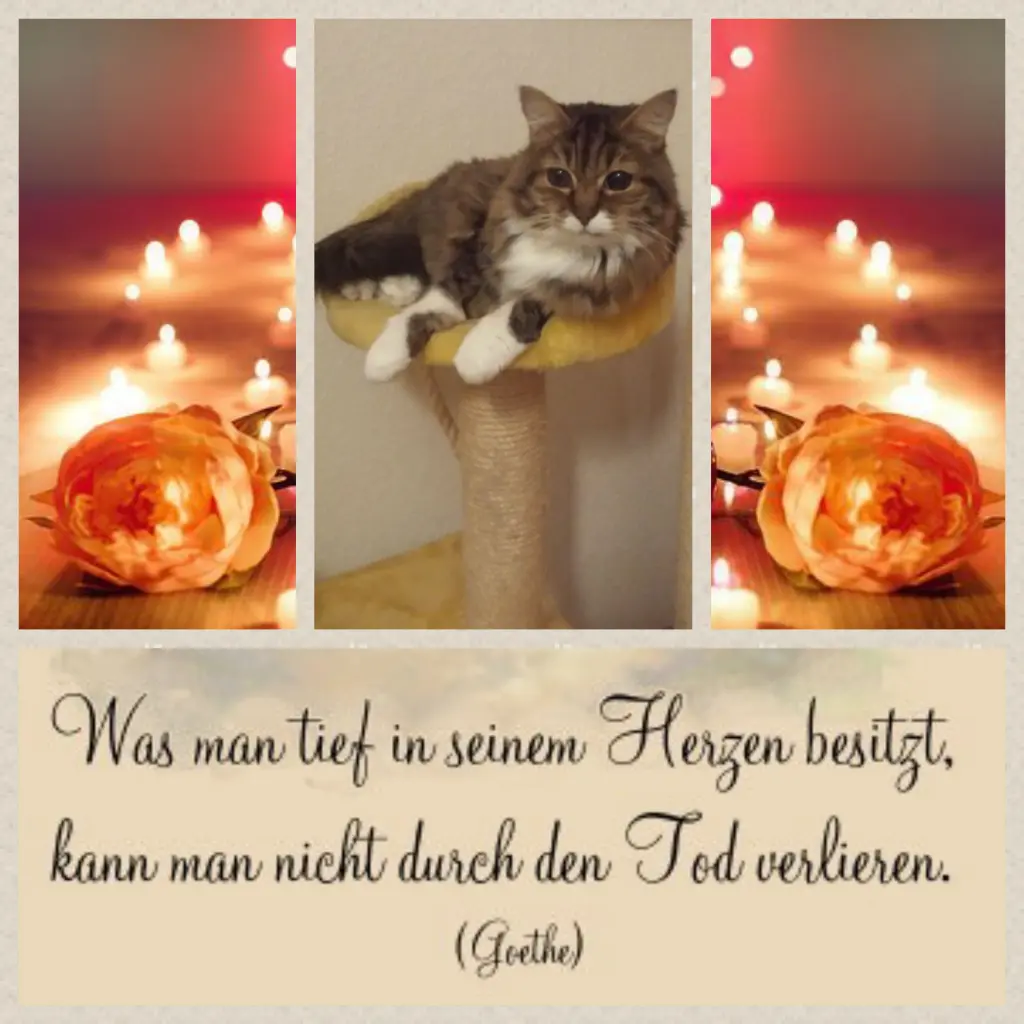 Andachtsbild von Anja mit Joy im Herzen ❤